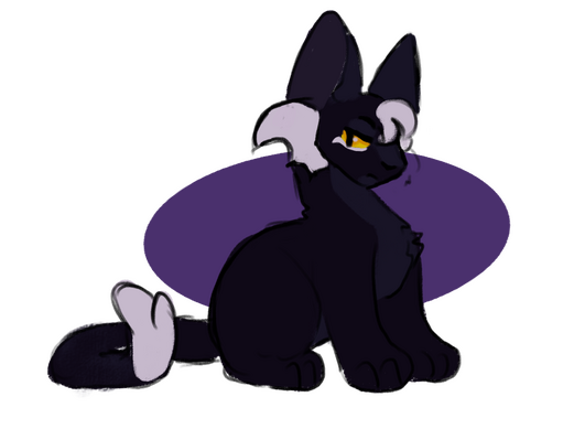 Custom Plush